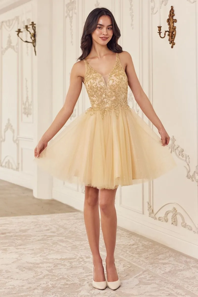 Beaded A-Line Tulle Short Dress CY022