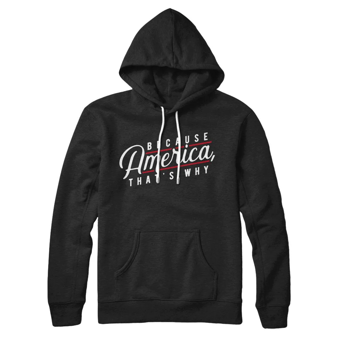 Because America, That's Why Hoodie