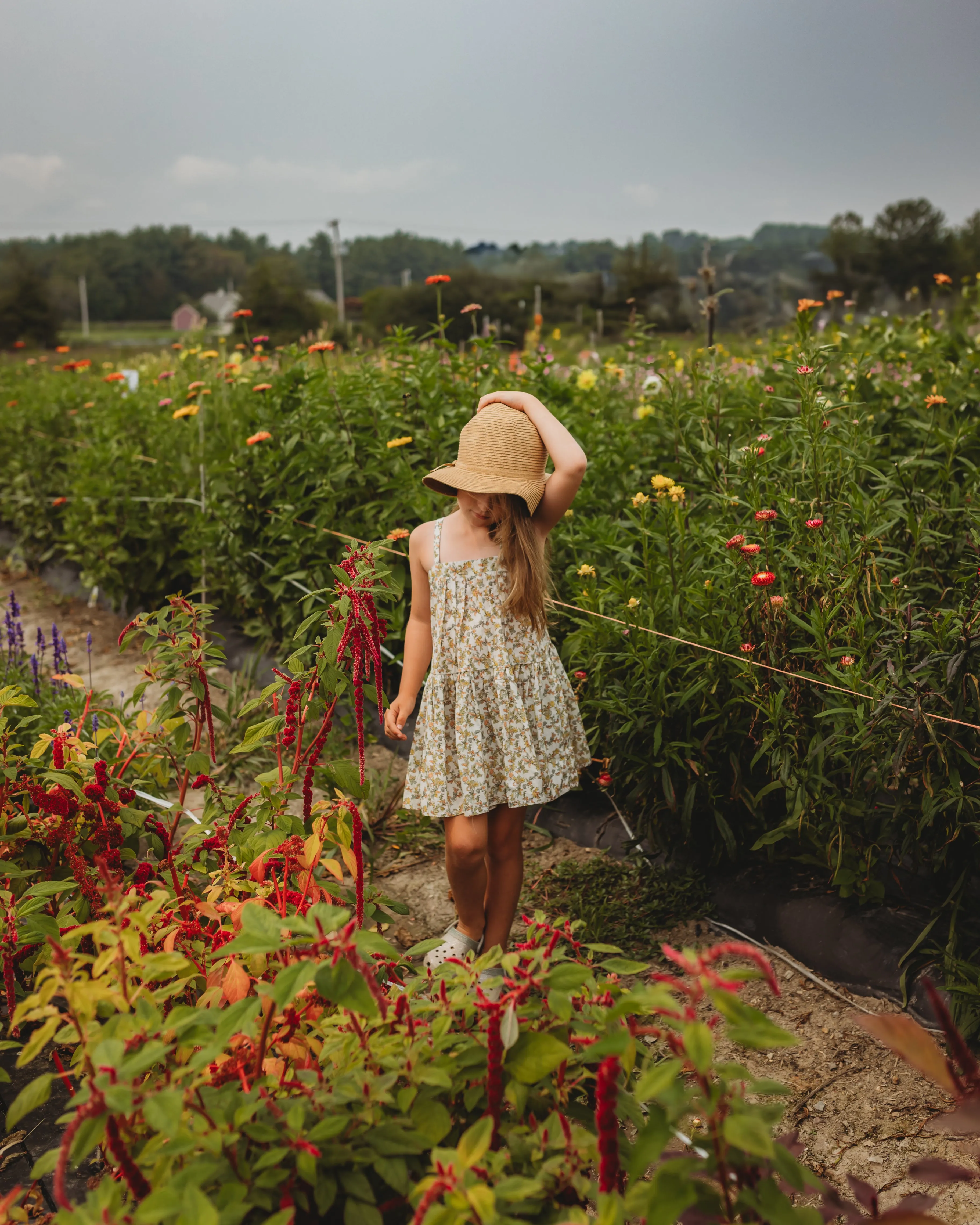 Hikari Pintuck Dress- Mustard Sage Blossom