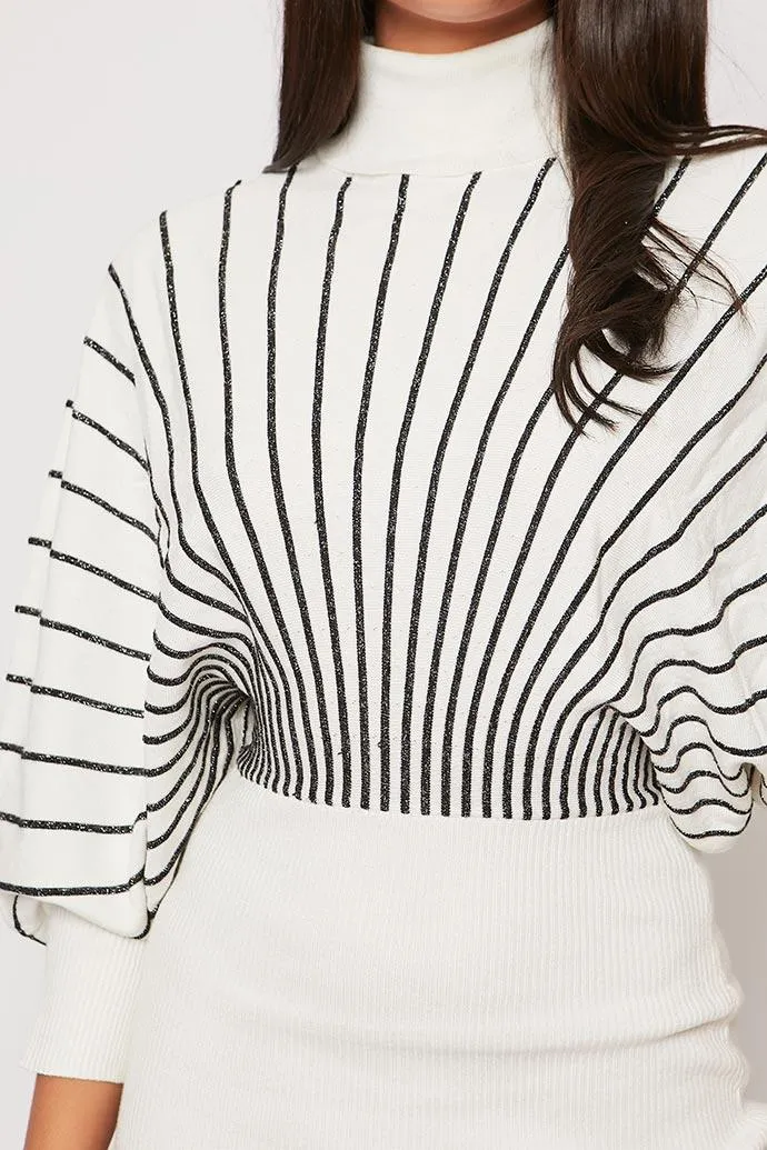 Natashie - White & Black Striped Polo Neck Jumper Dress