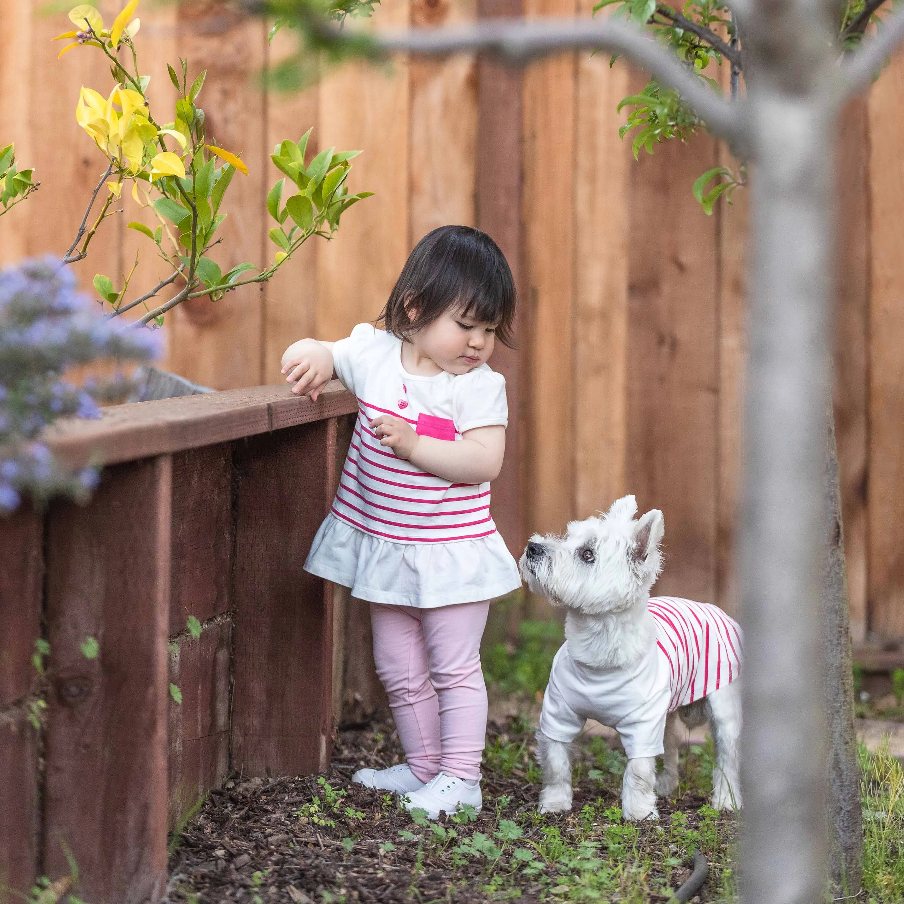 Summer Vacation Beach Stripes Design Matching Dog & Kid T-shirt, Pink